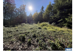 000  Chelsamish Dr