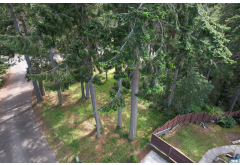Lot 38  Northridge Lane
