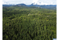 92+ Acres  Headwaters Lane O'Brien Road