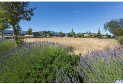 Lot 7  Eureka Way