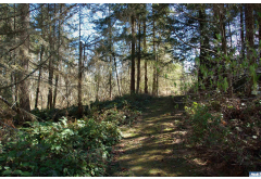 999 S Bagley Creek Road