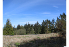 999  Oso Vista Ct.