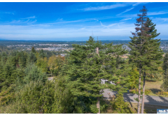 346  Raven's Ridge